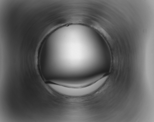 X0000089870894200707191936