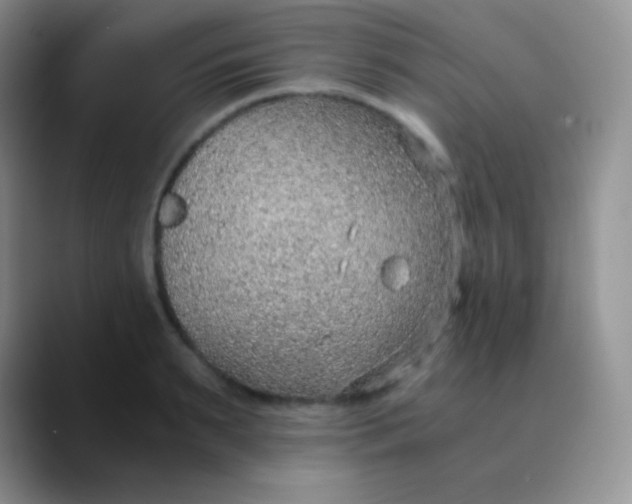 X0000089870895200707191936