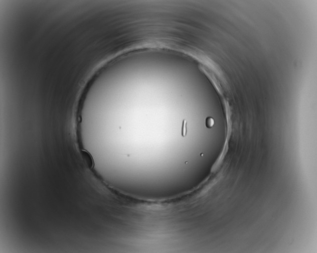 X0000089870896200707191936