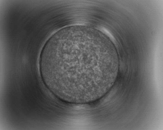 X0000089870899200707191936