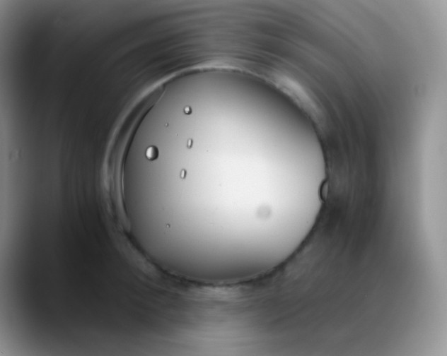 X0000089870900200707191936