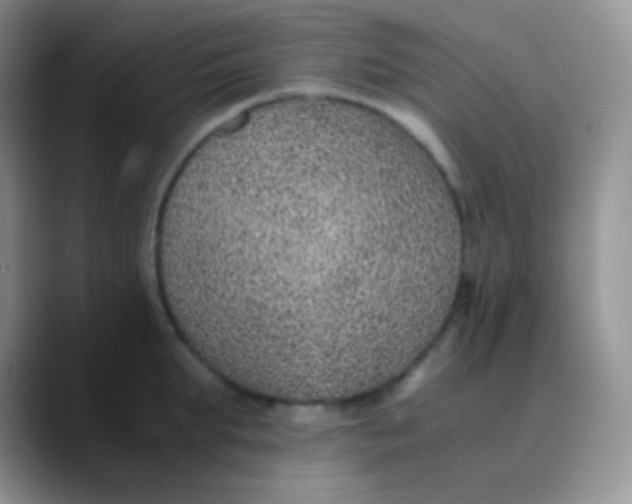 X0000089870903200707191936