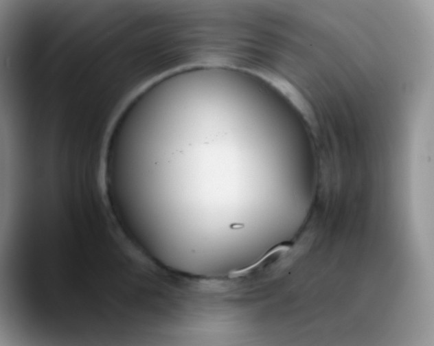 X0000089870904200707191936