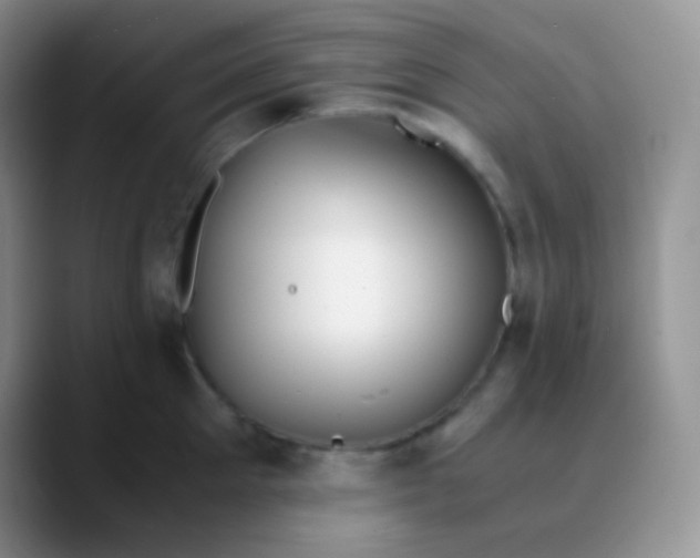 X0000089870905200707191936