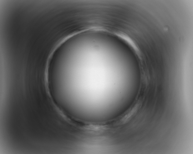 X0000089870910200707191936