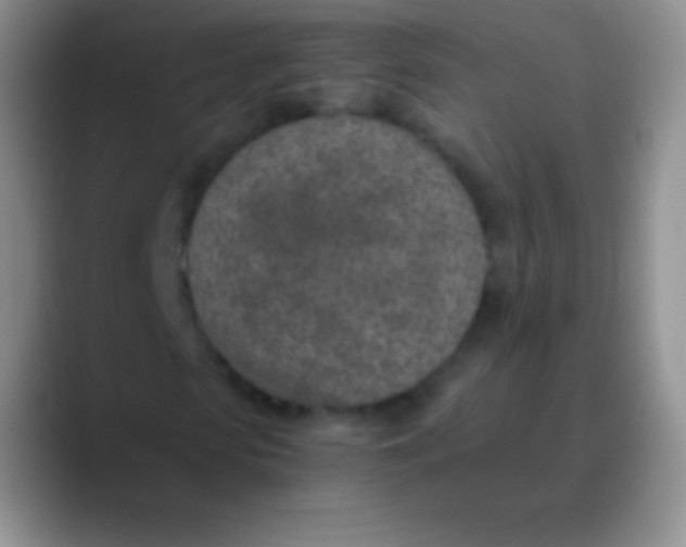 X0000089870913200707191935