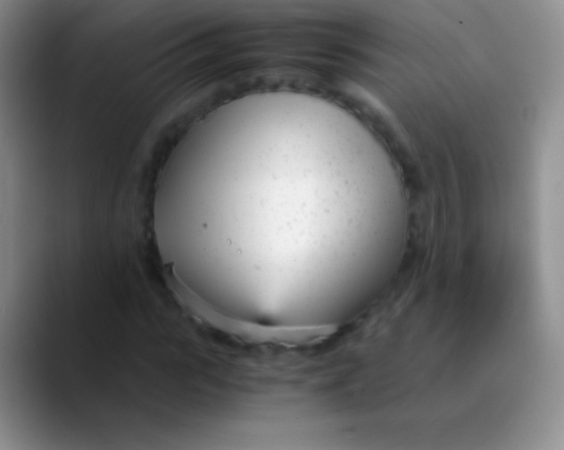 X0000089870919200707191935