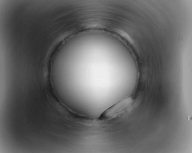 X0000089870922200707191935