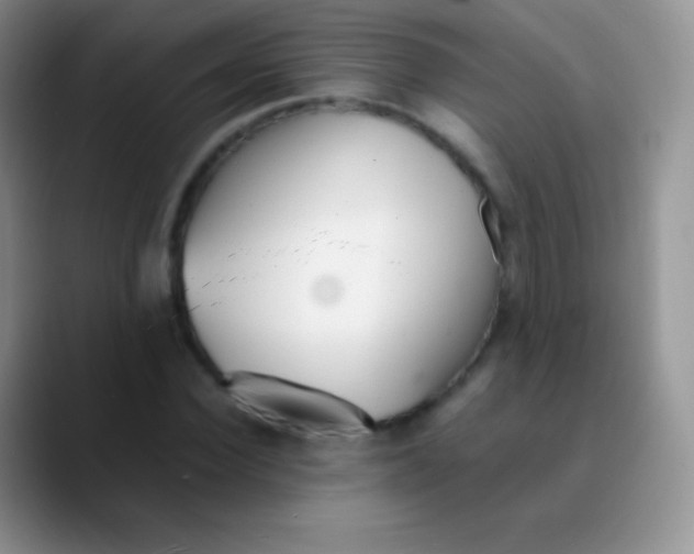 X0000089870924200707191936