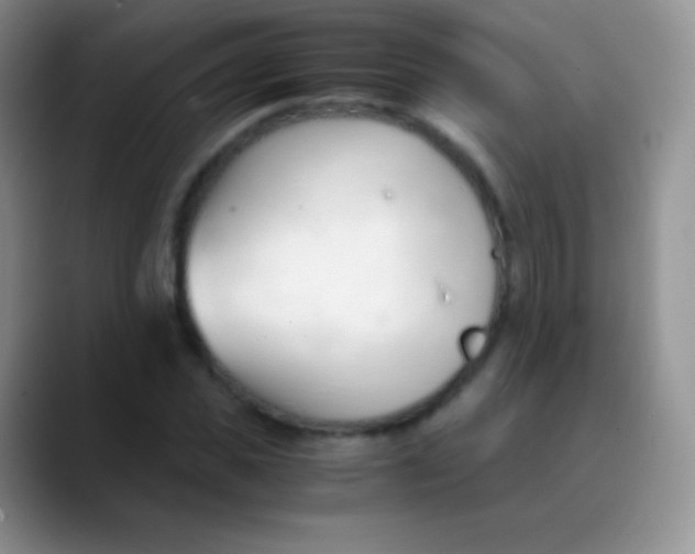 X0000089870925200707191936