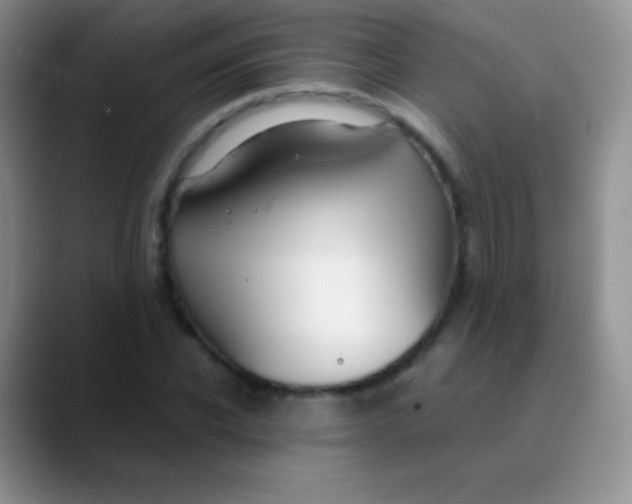 X0000089870926200707191936