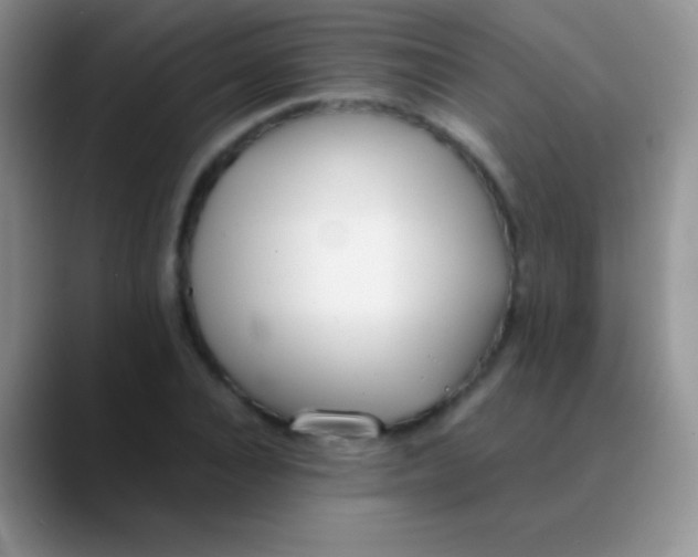 X0000089870928200707191936