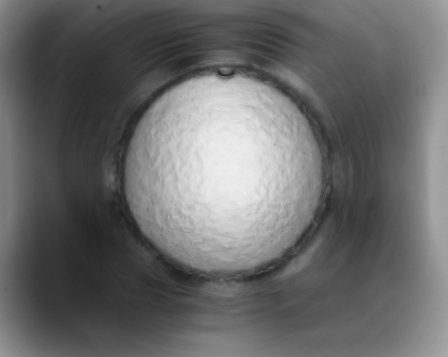 X0000089870929200707191936