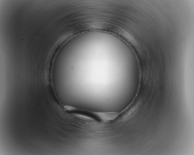 X0000089870930200707191936