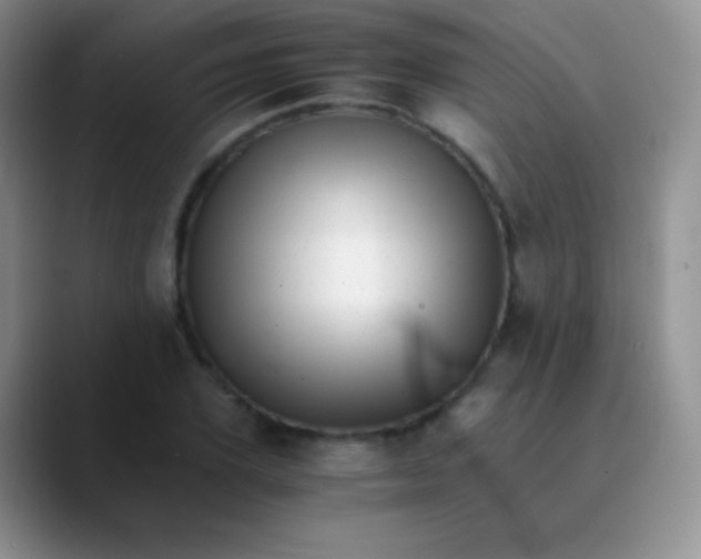 X0000089870931200707191936