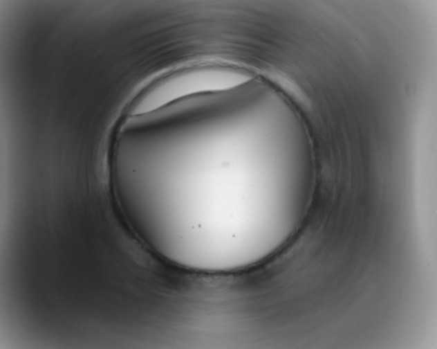 X0000089870934200707191936