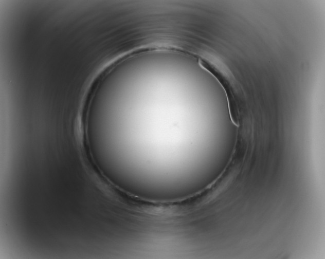 X0000089870936200707191936