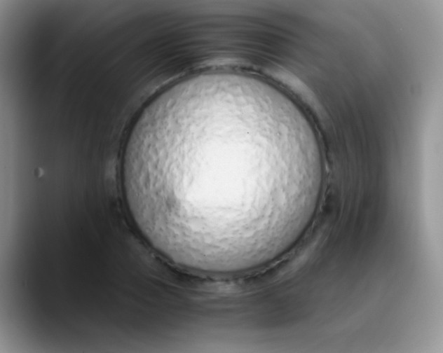 X0000089870937200707191936