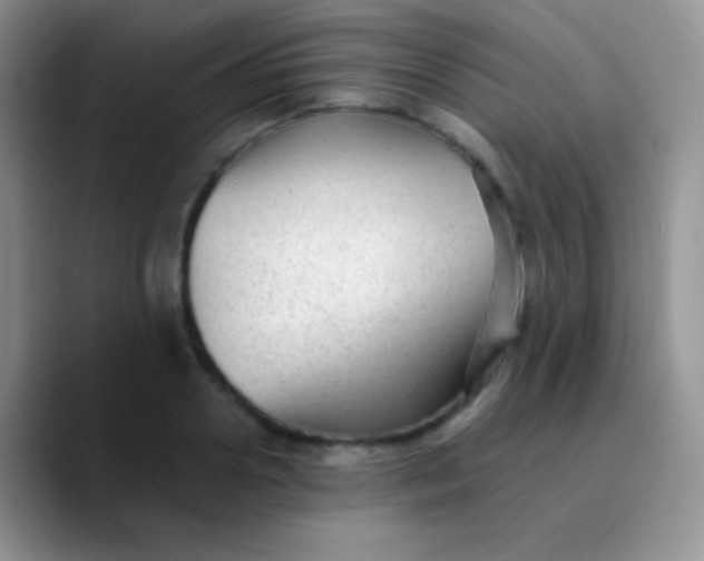 X0000089870938200707191936