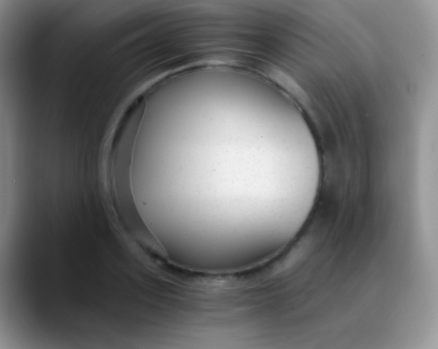 X0000089870939200707191936