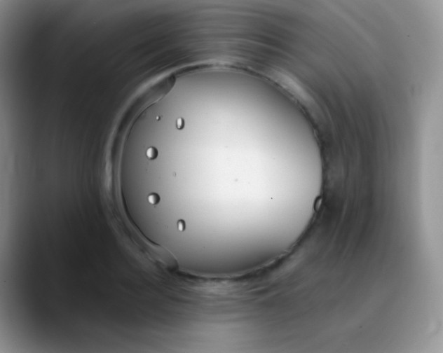 X0000089870940200707191936