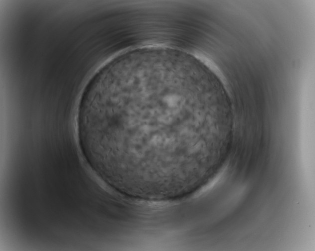 X0000089870941200707191936