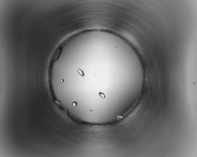 X0000089870942200707191936