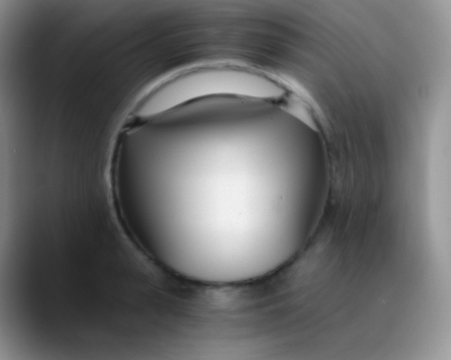 X0000089870943200707191936