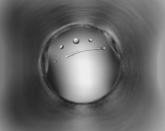 X0000089870944200707191936