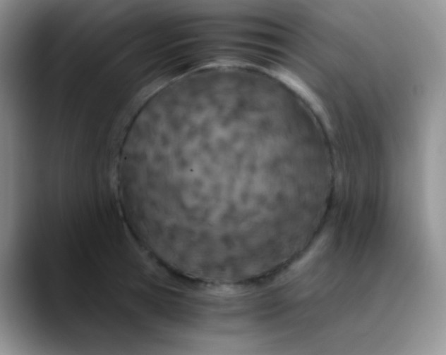 X0000089870945200707191936