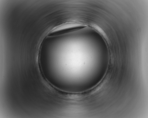 X0000089870946200707191936