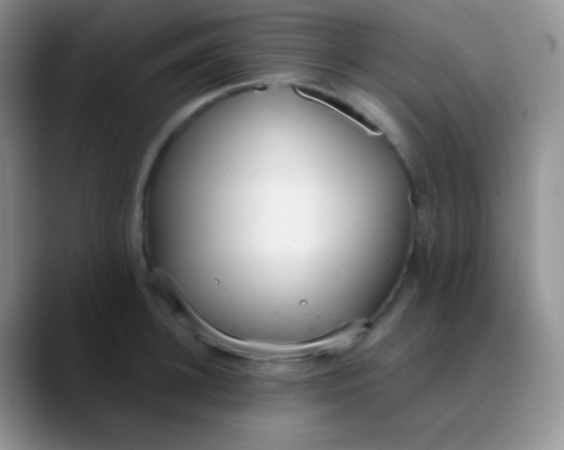 X0000089870948200707191936