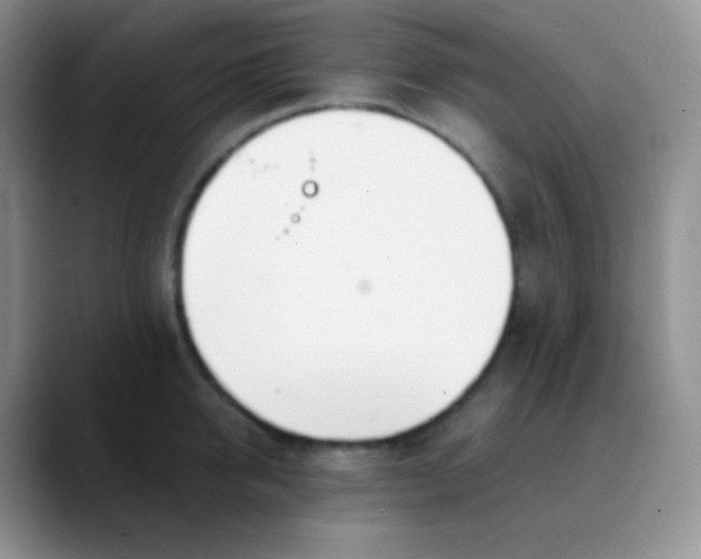 X0000089870950200707191936