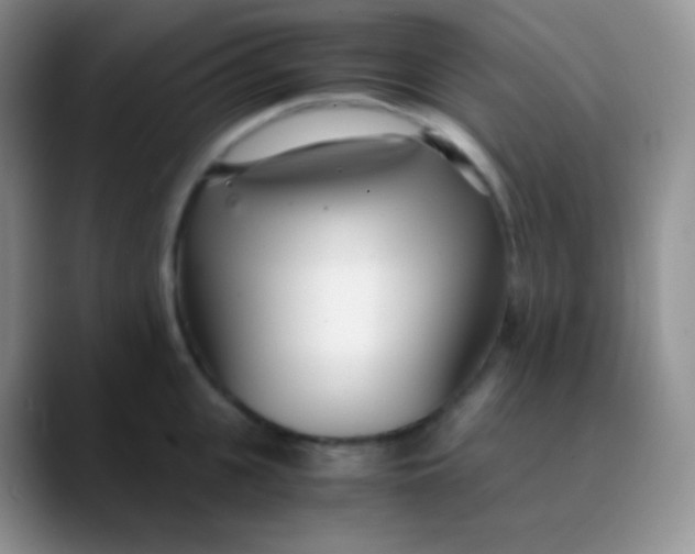 X0000089870951200707191936