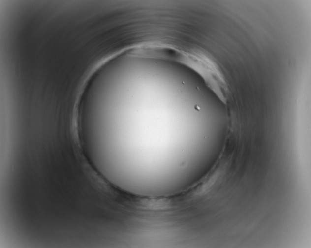 X0000089870952200707191936