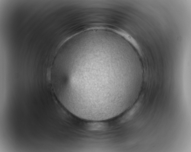 X0000089870953200707191936