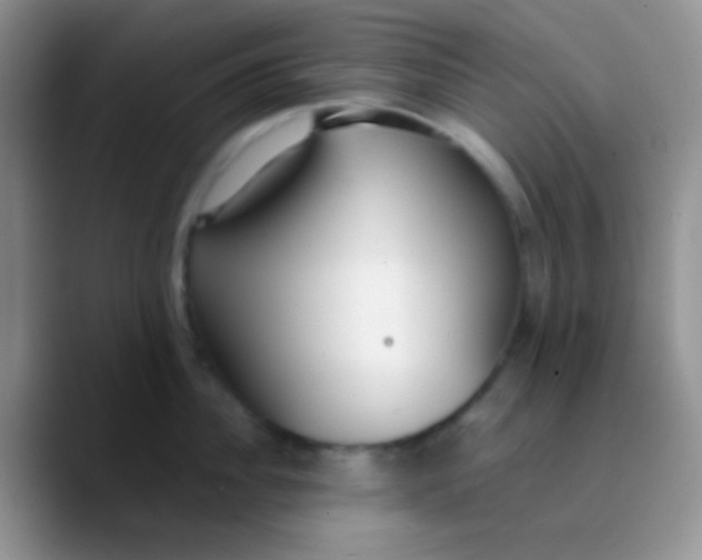 X0000089870956200707191936