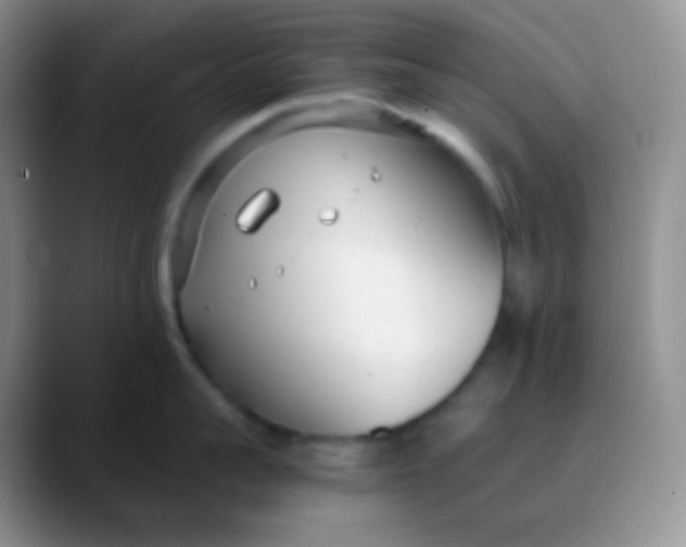 X0000089870959200707191936