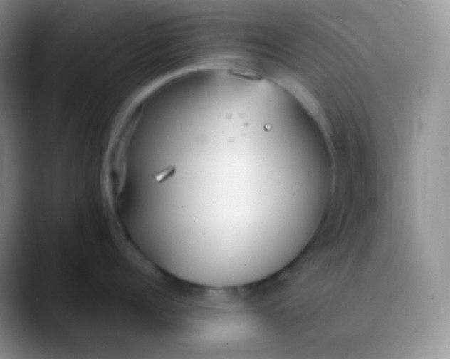 X0000089870960200707191936