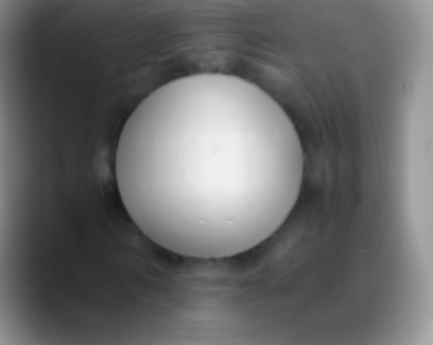 X0000089870962200707191935