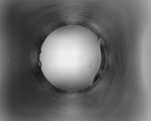 X0000089870964200707191935