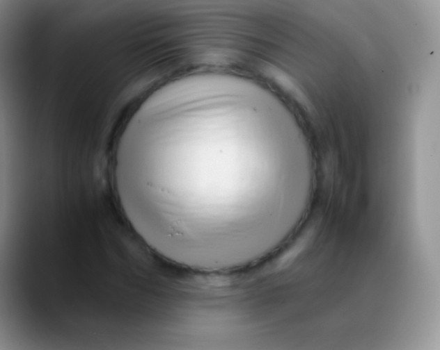 X0000089870970200707191935