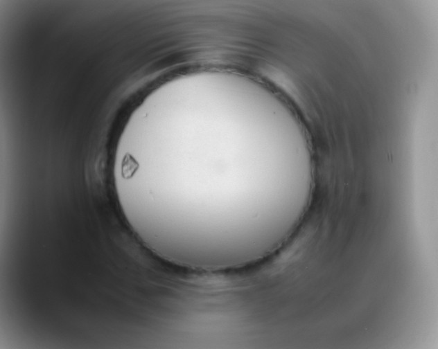 X0000089870971200707191935