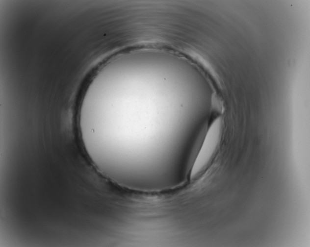 X0000089870975200707191935