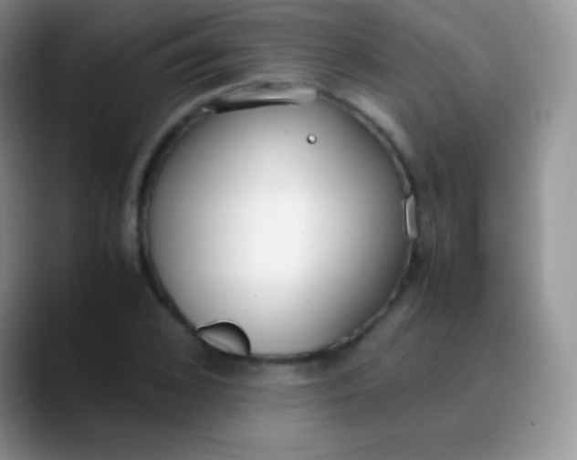 X0000089870976200707191935