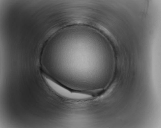 X0000089870977200707191935