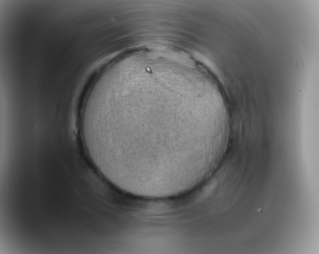 X0000089870979200707191935