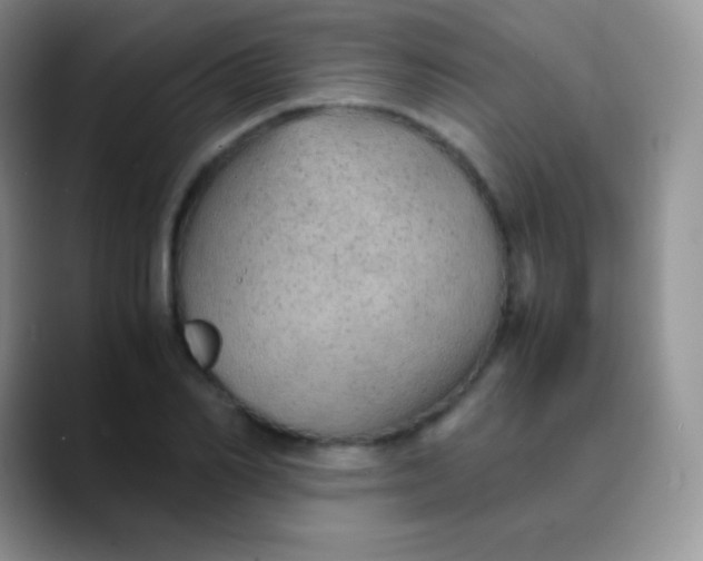 X0000089870982200707191935