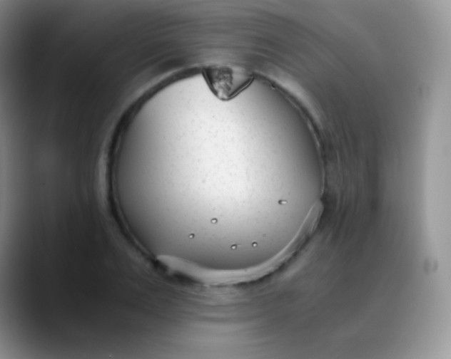 X0000089870983200707191935