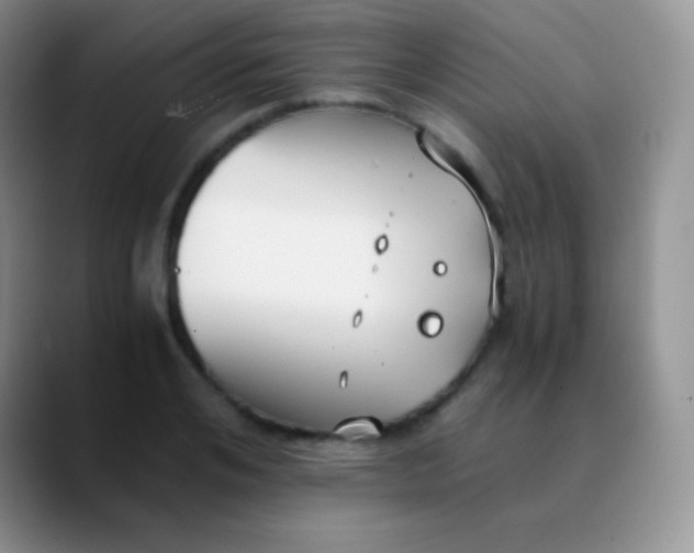 X0000089870984200707191935